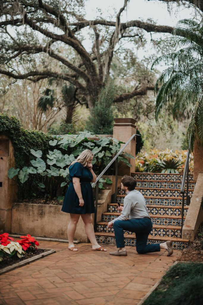 bok tower engagement