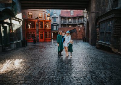 family diagon alley