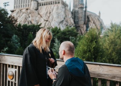hogsmeade proposal