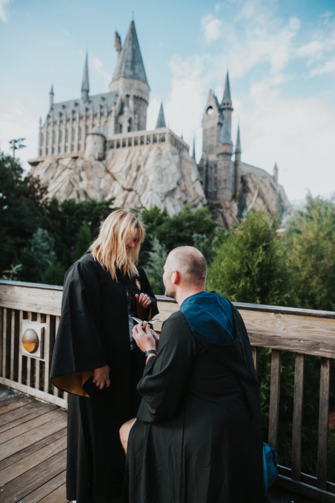 hogsmeade proposal