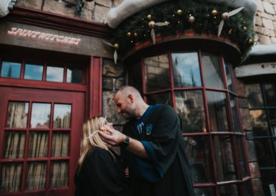 hogsmeade proposal