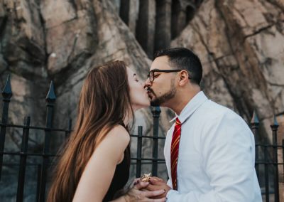 hogwarts proposal