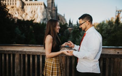 Harry Potter Universal Studios Proposals in Orlando, FL