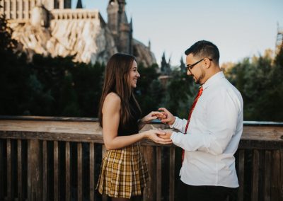 hogwarts proposal