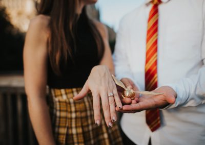 hogwarts proposal