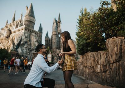 hogwarts proposal