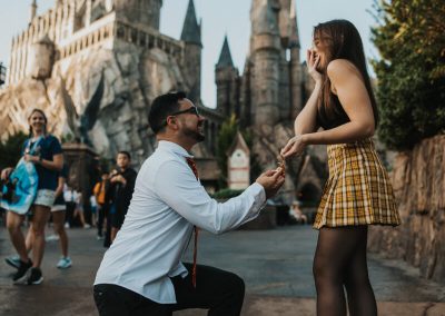 hogwarts proposal
