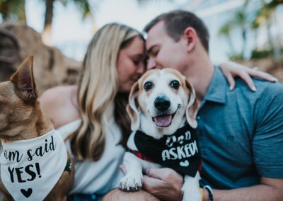 orlando proposals