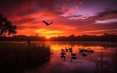 Orlando Wetland Photography Excursions
