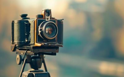 Photography Road Trip Idea: Adelaide Hills With Lookouts& Breathtaking Views