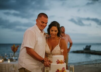 Animal Photoshoots Wedding Photos Photo Op