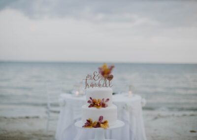 Taken Albums Branding Photographyportraits