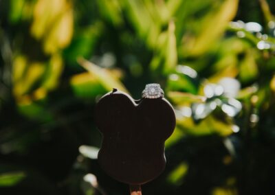 Walt Disney Golf Artist Miami